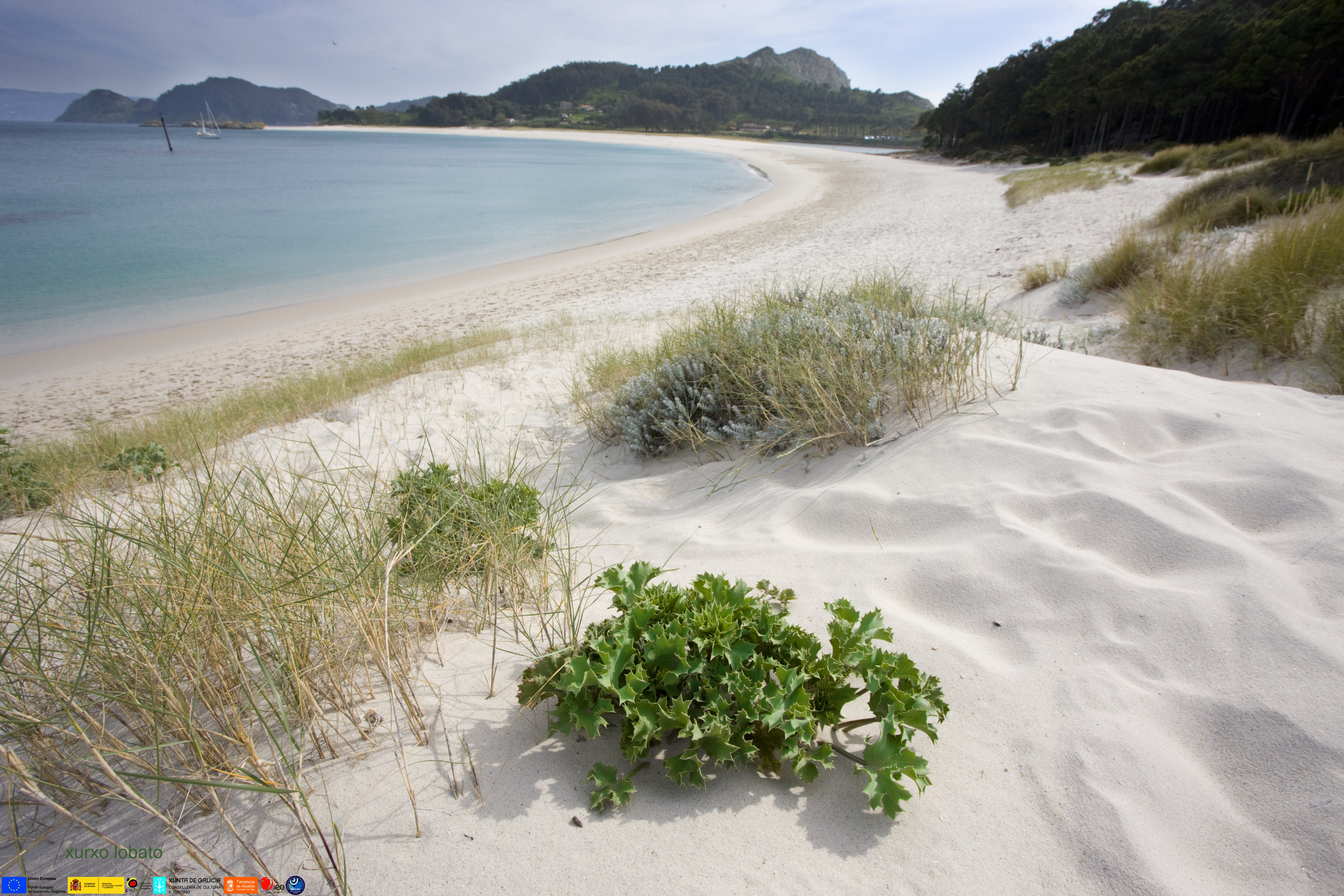 Playa de Rodas (Islas Cíes)